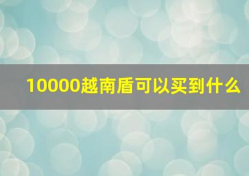 10000越南盾可以买到什么