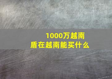 1000万越南盾在越南能买什么