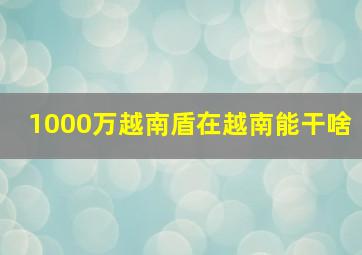 1000万越南盾在越南能干啥