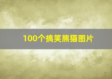 100个搞笑熊猫图片