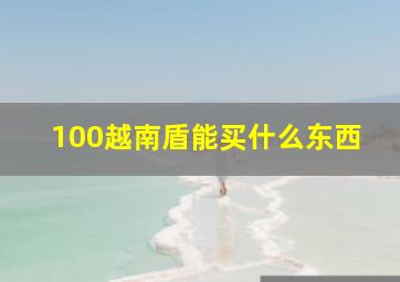 100越南盾能买什么东西