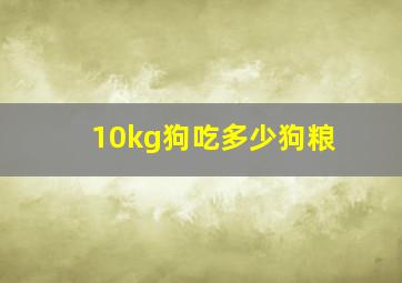 10kg狗吃多少狗粮