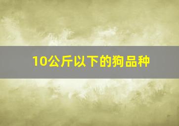 10公斤以下的狗品种