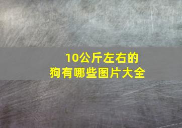 10公斤左右的狗有哪些图片大全