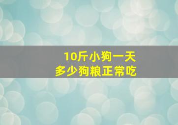 10斤小狗一天多少狗粮正常吃