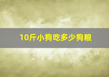 10斤小狗吃多少狗粮