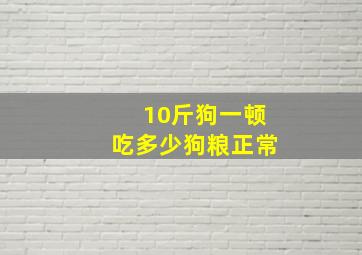 10斤狗一顿吃多少狗粮正常