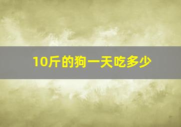 10斤的狗一天吃多少