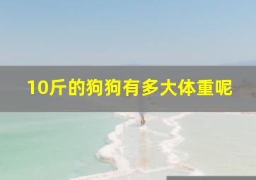 10斤的狗狗有多大体重呢