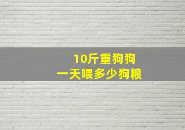 10斤重狗狗一天喂多少狗粮