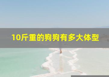 10斤重的狗狗有多大体型