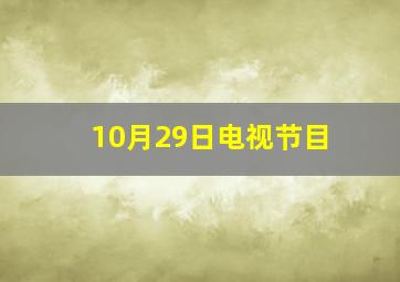 10月29日电视节目