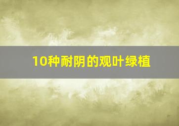 10种耐阴的观叶绿植