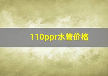 110ppr水管价格