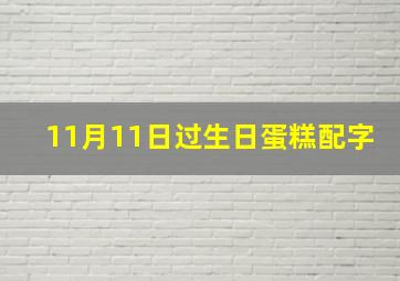 11月11日过生日蛋糕配字