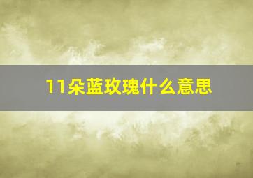 11朵蓝玫瑰什么意思