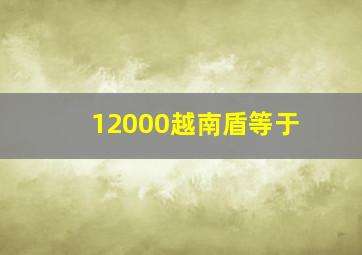 12000越南盾等于