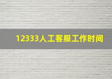 12333人工客服工作时间