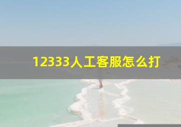 12333人工客服怎么打