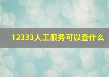 12333人工服务可以查什么