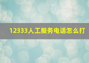 12333人工服务电话怎么打