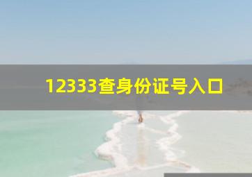 12333查身份证号入口