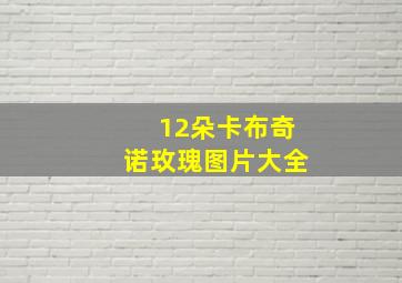 12朵卡布奇诺玫瑰图片大全