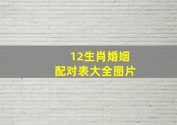 12生肖婚姻配对表大全图片