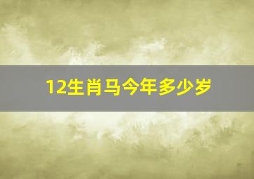 12生肖马今年多少岁