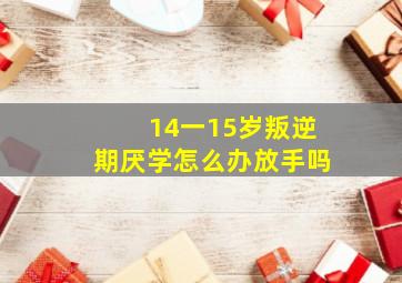 14一15岁叛逆期厌学怎么办放手吗