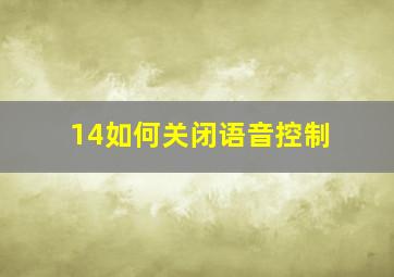 14如何关闭语音控制