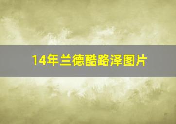 14年兰德酷路泽图片