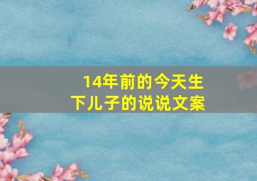 14年前的今天生下儿子的说说文案