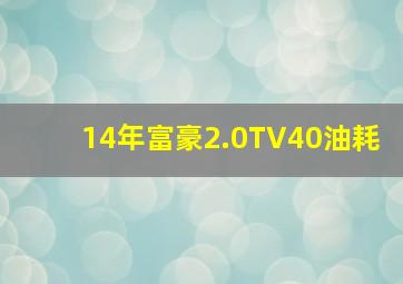 14年富豪2.0TV40油耗