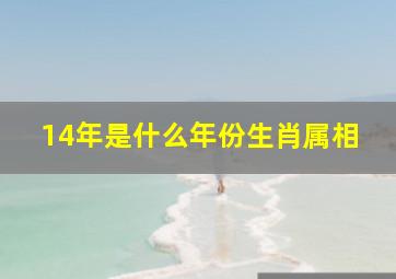 14年是什么年份生肖属相