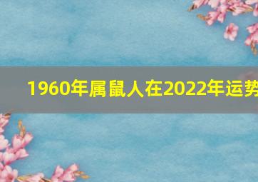 1960年属鼠人在2022年运势