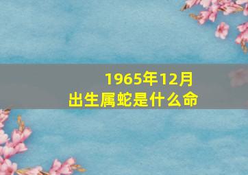 1965年12月出生属蛇是什么命