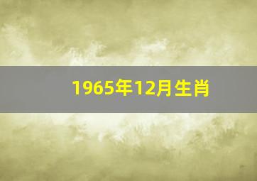 1965年12月生肖