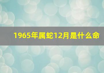 1965年属蛇12月是什么命