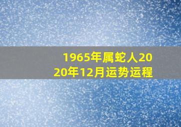 1965年属蛇人2020年12月运势运程