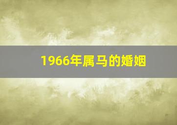 1966年属马的婚姻