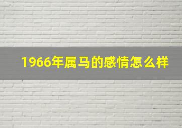 1966年属马的感情怎么样