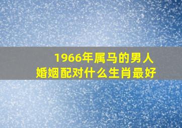 1966年属马的男人婚姻配对什么生肖最好