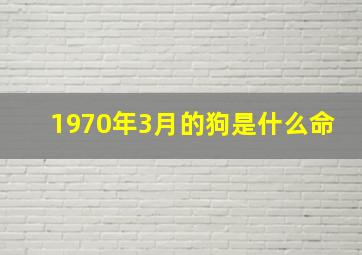 1970年3月的狗是什么命