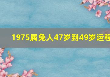 1975属兔人47岁到49岁运程