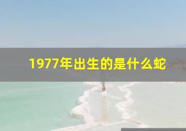 1977年出生的是什么蛇