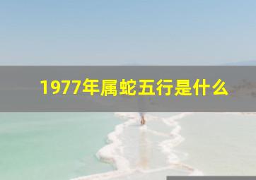 1977年属蛇五行是什么