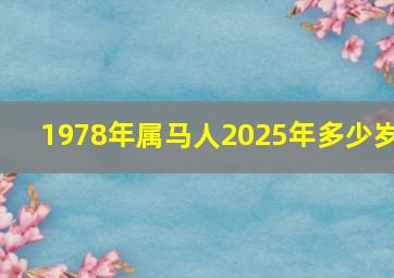 1978年属马人2025年多少岁