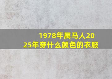 1978年属马人2025年穿什么颜色的衣服