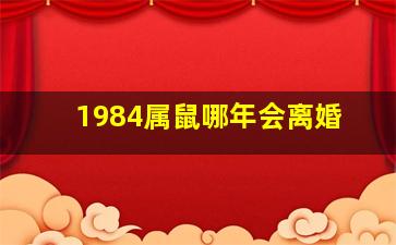 1984属鼠哪年会离婚